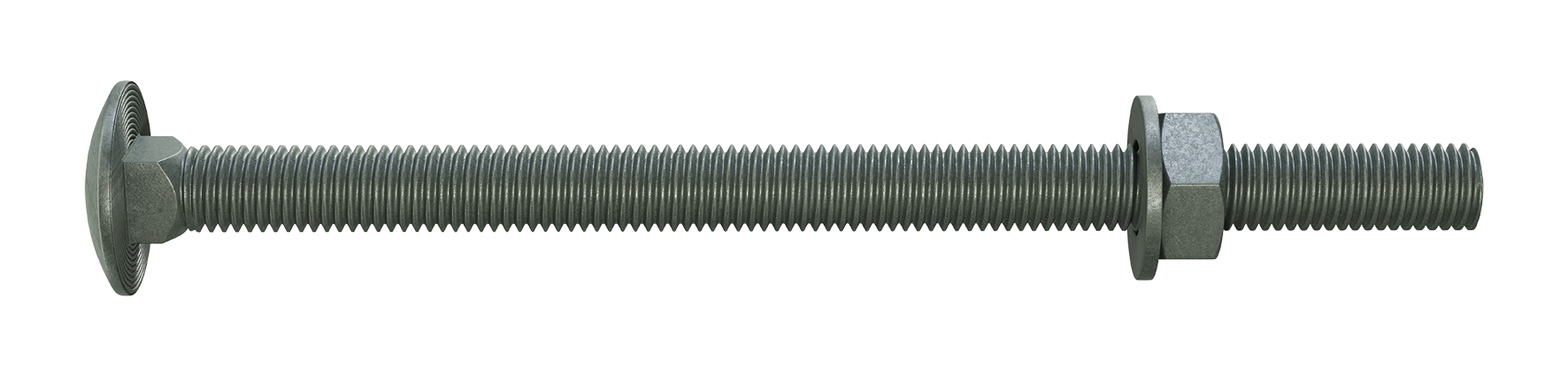 Coach Bolts