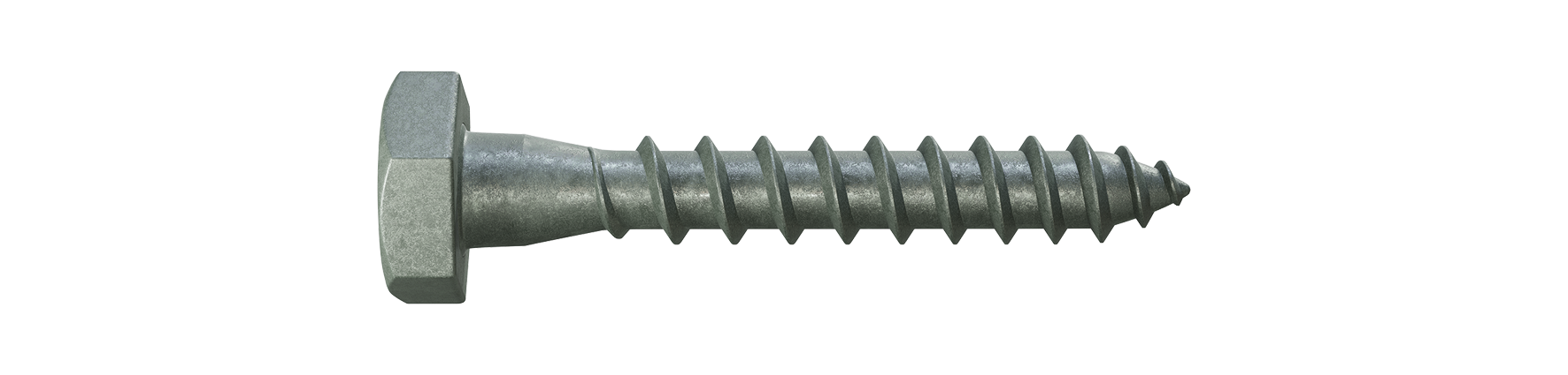 Coach Screws